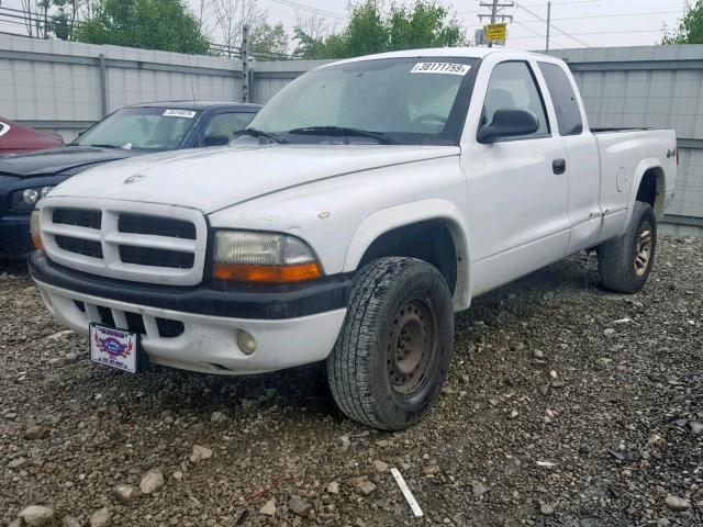 1D7HG32N63S343824 - 2003 DODGE DAKOTA SPO WHITE photo 2