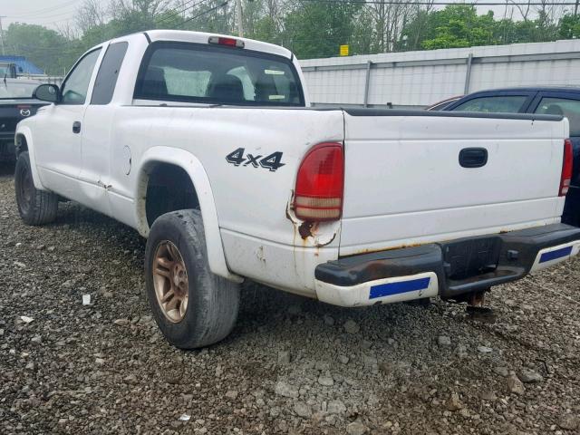 1D7HG32N63S343824 - 2003 DODGE DAKOTA SPO WHITE photo 3