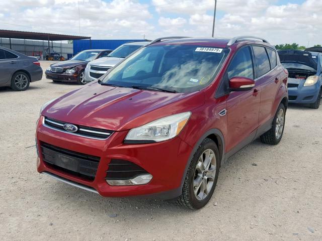 1FMCU0J90EUB66531 - 2014 FORD ESCAPE TIT MAROON photo 2