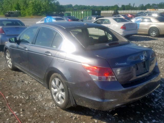 JHMCP26878C075997 - 2008 HONDA ACCORD EXL GRAY photo 3