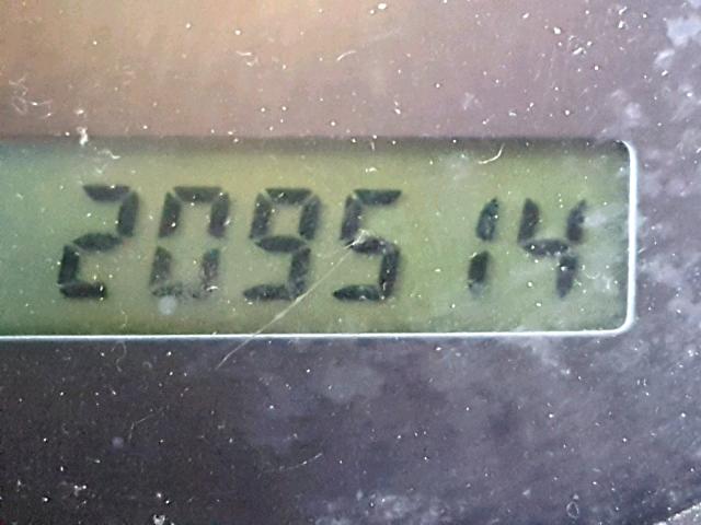 KL1TD66617B706710 - 2007 CHEVROLET AVEO BASE Қызыл фото 8