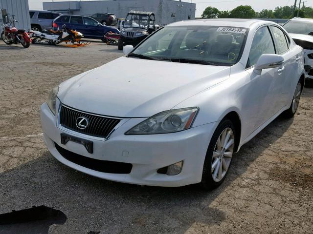 JTHCK262X92032272 - 2009 LEXUS IS 250 WHITE photo 2