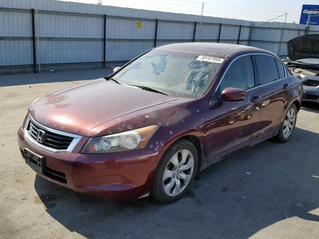 JHMCP26888C057668 - 2008 HONDA ACCORD EXL BURGUNDY photo 2