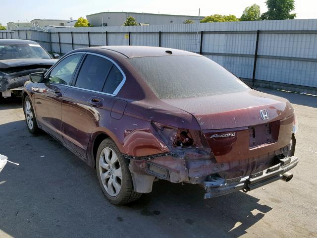 JHMCP26888C057668 - 2008 HONDA ACCORD EXL BURGUNDY photo 3