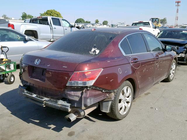 JHMCP26888C057668 - 2008 HONDA ACCORD EXL BURGUNDY photo 4