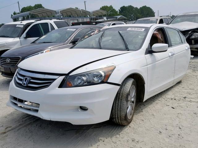 1HGCP3F82BA031773 - 2011 HONDA ACCORD EXL WHITE photo 2