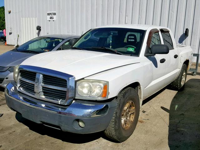 1D7HW48K55S207760 - 2005 DODGE DAKOTA QUA WHITE photo 2