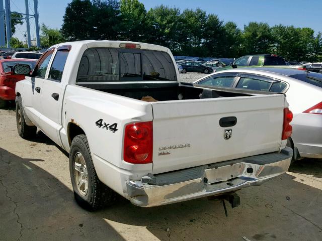 1D7HW48K55S207760 - 2005 DODGE DAKOTA QUA WHITE photo 3