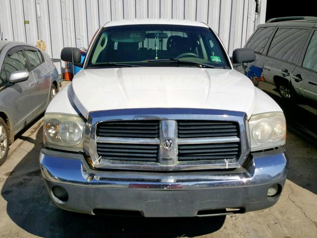 1D7HW48K55S207760 - 2005 DODGE DAKOTA QUA WHITE photo 9