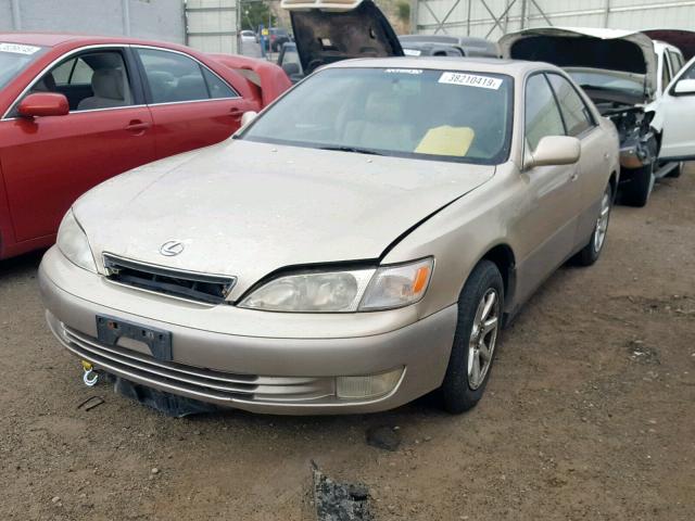 JT8BF22G0V0026455 - 1997 LEXUS ES 300 GOLD photo 2