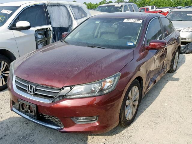 1HGCR2F88DA265312 - 2013 HONDA ACCORD EXL BURGUNDY photo 2