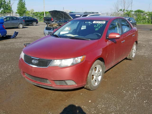 KNAFU4A27A5141123 - 2010 KIA FORTE EX RED photo 2