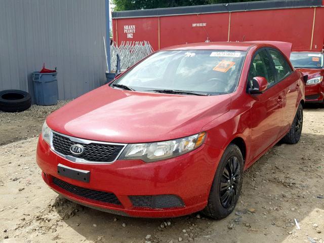 KNAFU4A23D5685686 - 2013 KIA FORTE EX RED photo 2