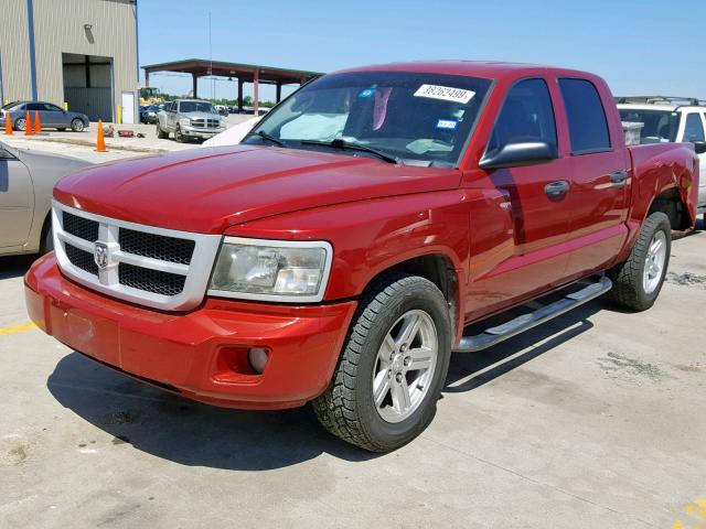 1D7CE3GK2AS208304 - 2010 DODGE DAKOTA SXT RED photo 2