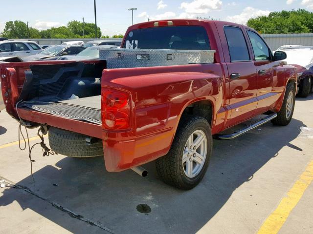 1D7CE3GK2AS208304 - 2010 DODGE DAKOTA SXT RED photo 4