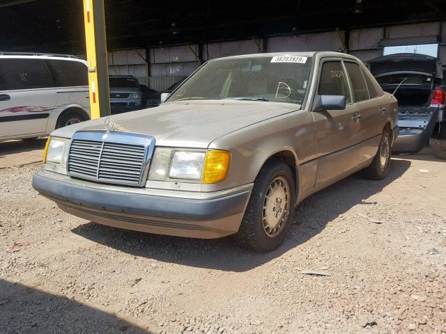 WDBEA30D1MB376920 - 1991 MERCEDES-BENZ 300 E BEIGE photo 2