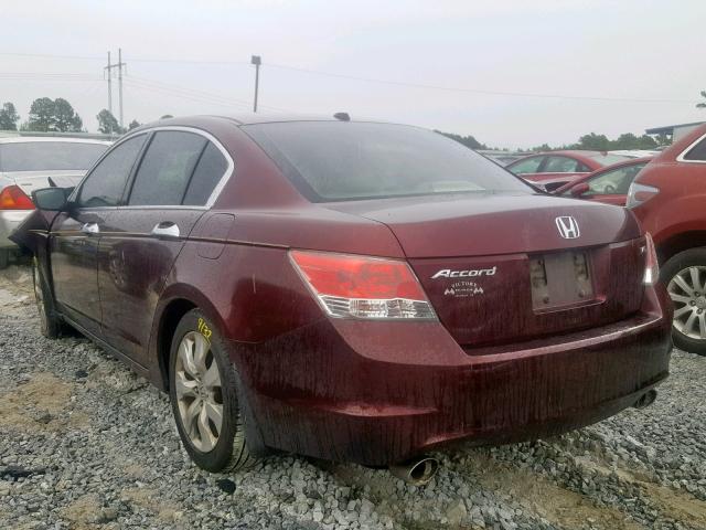 5KBCP3F8XAB018680 - 2010 HONDA ACCORD EXL RED photo 3