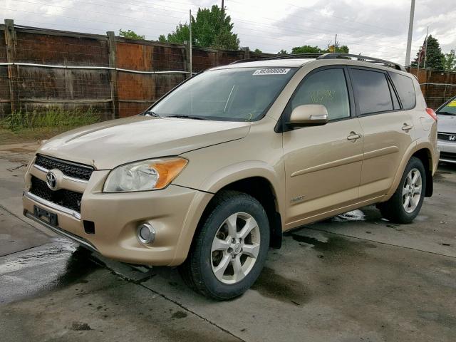 JTMDK4DV9A5092352 - 2010 TOYOTA RAV4 LIMIT GOLD photo 2