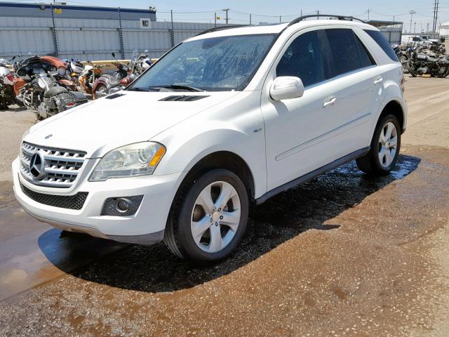 4JGBB2FB6AA595533 - 2010 MERCEDES-BENZ ML 350 BLU WHITE photo 2