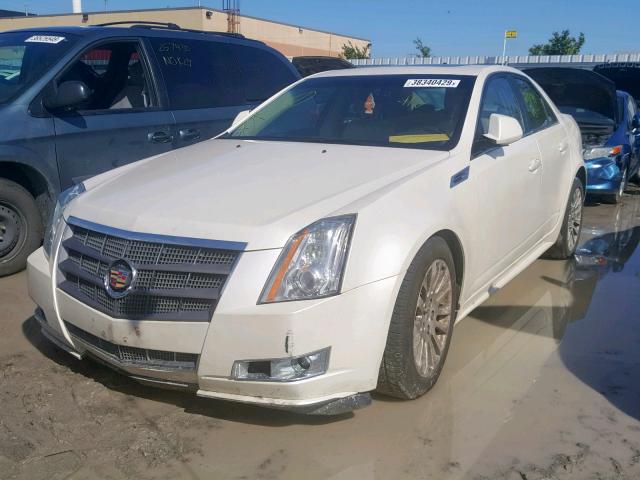 1G6DL5EG8A0106857 - 2010 CADILLAC CTS PERFOR WHITE photo 2