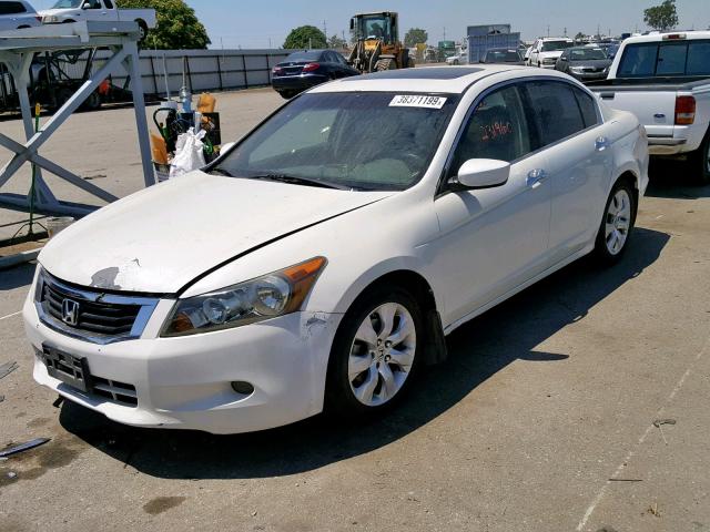 1HGCP36868A023409 - 2008 HONDA ACCORD EXL WHITE photo 2