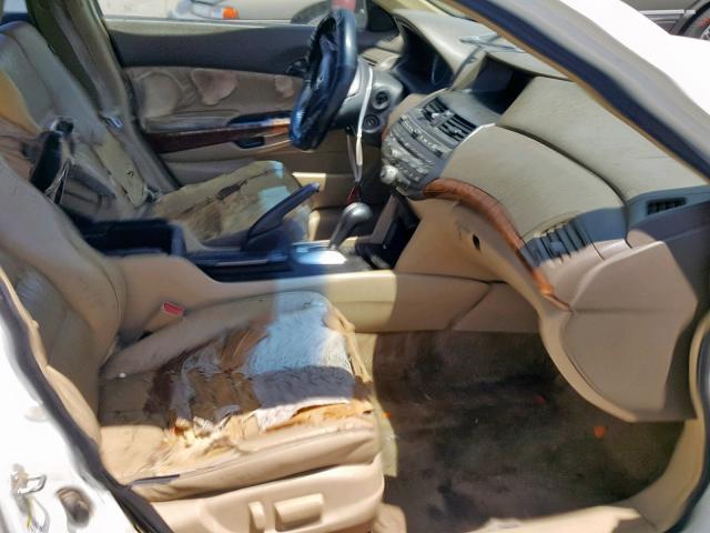 1HGCP36868A023409 - 2008 HONDA ACCORD EXL WHITE photo 5