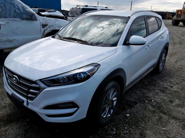 KM8J3CA48JU688480 - 2018 HYUNDAI TUCSON SEL WHITE photo 2