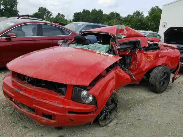 1ZVFT80N555154013 - 2005 FORD MUSTANG RED photo 10