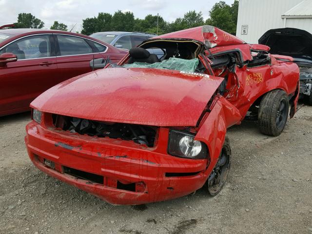 1ZVFT80N555154013 - 2005 FORD MUSTANG RED photo 2