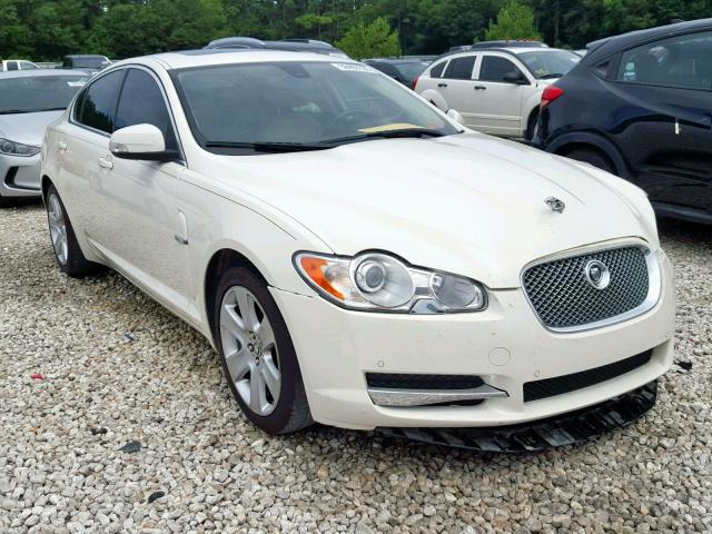 SAJWA05B09HR05310 - 2009 JAGUAR XF LUXURY WHITE photo 1