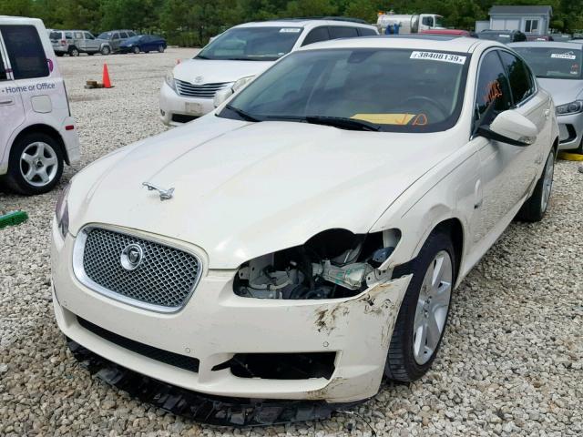 SAJWA05B09HR05310 - 2009 JAGUAR XF LUXURY WHITE photo 2