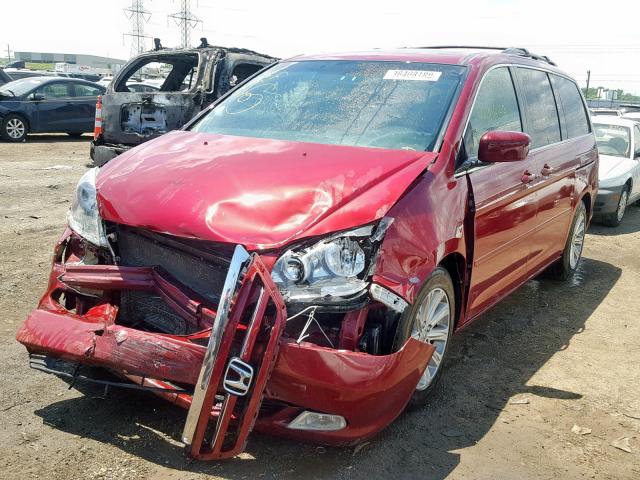 5FNRL38805B077065 - 2005 HONDA ODYSSEY TO RED photo 2