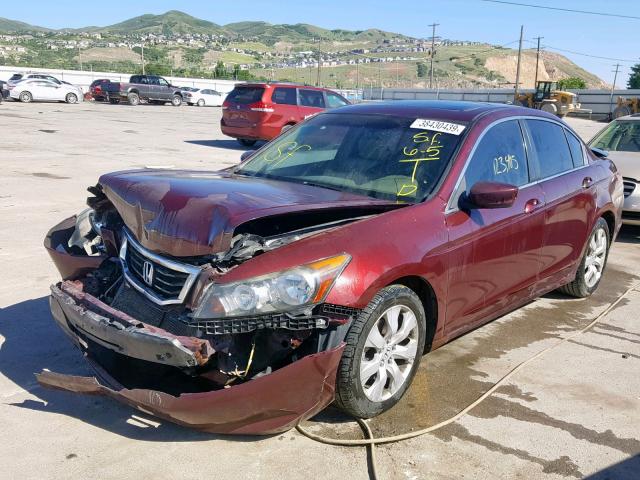 1HGCP26849A107756 - 2009 HONDA ACCORD EXL BURGUNDY photo 2