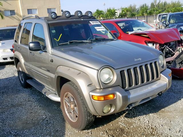 1J4GK38K22W367606 - 2002 JEEP LIBERTY RE GRAY photo 1