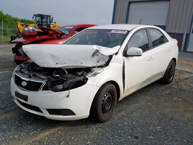 KNAFU4A26A5187297 - 2010 KIA FORTE EX WHITE photo 2