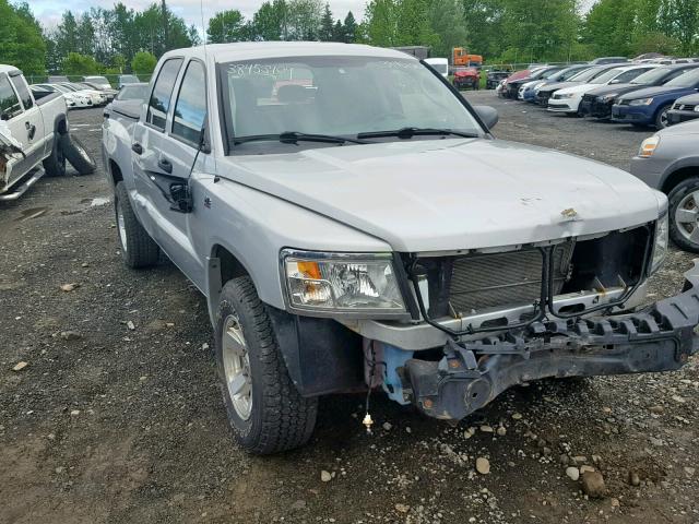 1D7RW3GP6BS695933 - 2011 DODGE DAKOTA SLT SILVER photo 1