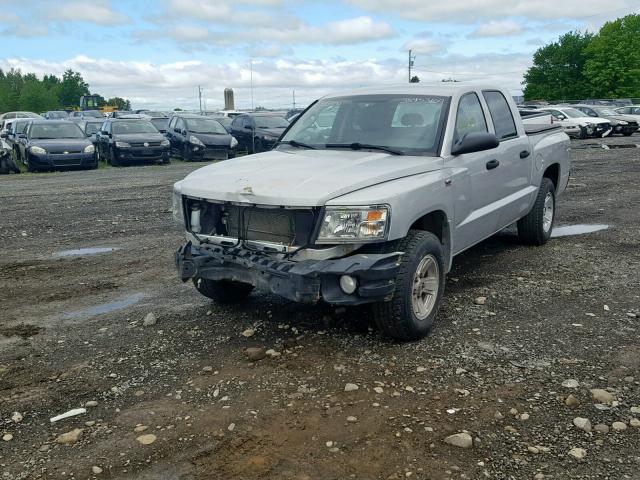 1D7RW3GP6BS695933 - 2011 DODGE DAKOTA SLT SILVER photo 2