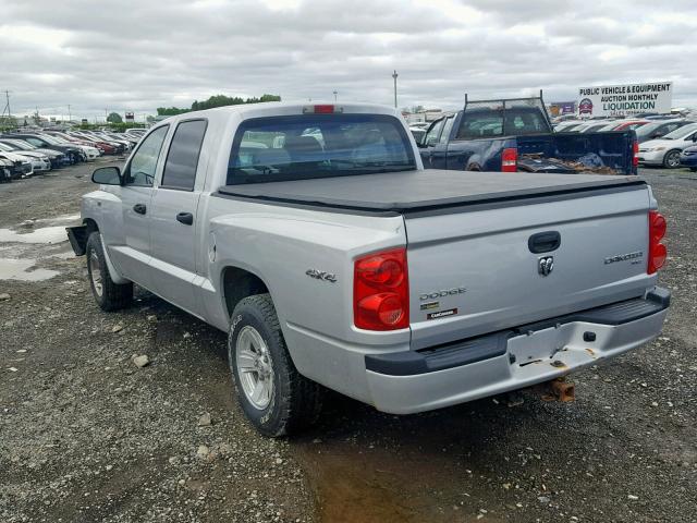 1D7RW3GP6BS695933 - 2011 DODGE DAKOTA SLT SILVER photo 3