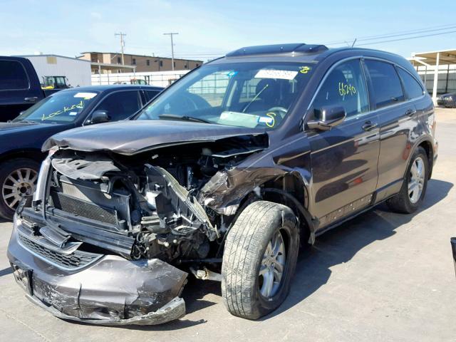 5J6RE3H73AL051093 - 2010 HONDA CR-V EXL BROWN photo 2