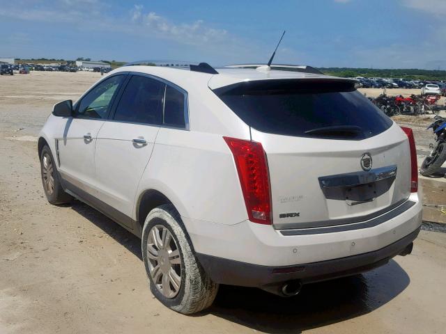 3GYFNAEY9AS568865 - 2010 CADILLAC SRX LUXURY WHITE photo 3