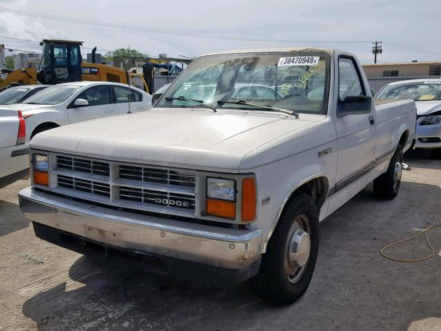 1B7GN14M8HS350074 - 1987 DODGE DAKOTA WHITE photo 2