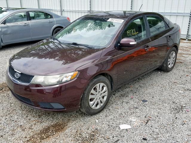 KNAFU4A27A5858637 - 2010 KIA FORTE EX BURGUNDY photo 2