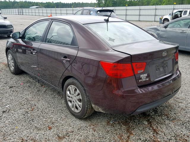 KNAFU4A27A5858637 - 2010 KIA FORTE EX BURGUNDY photo 3