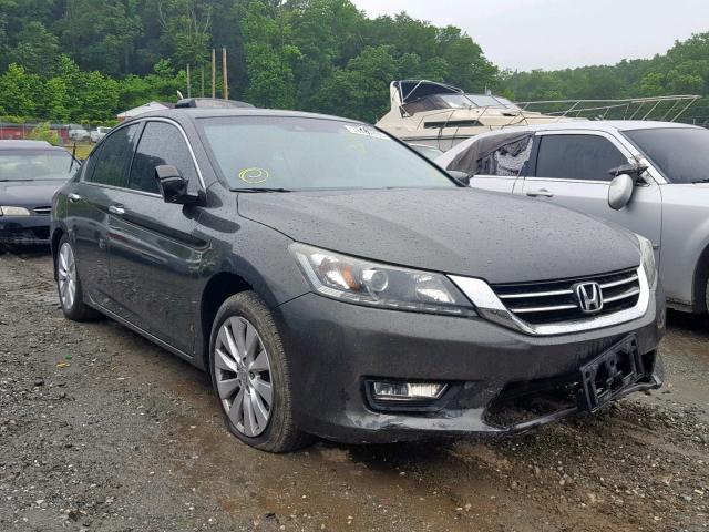 1HGCR3F8XDA012482 - 2013 HONDA ACCORD EXL GRAY photo 1