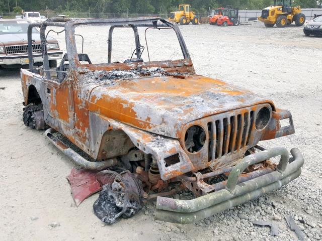 1J4FA49S33P317022 - 2003 JEEP WRANGLER / BURN photo 1