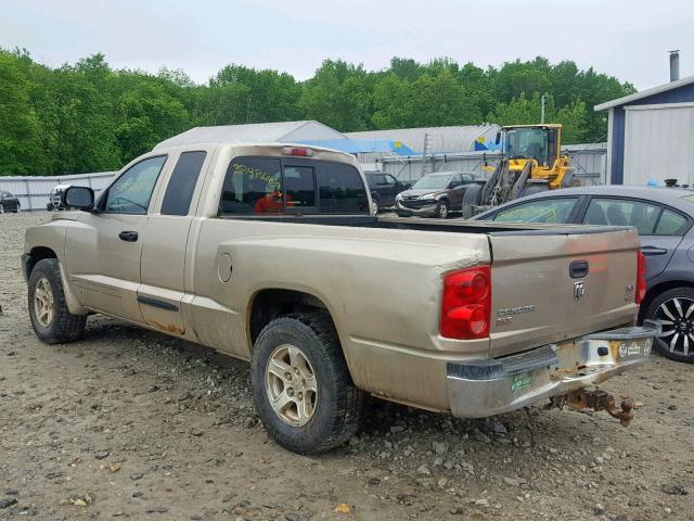 1D7HW42N75S167720 - 2005 DODGE DAKOTA SLT TAN photo 3