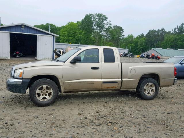 1D7HW42N75S167720 - 2005 DODGE DAKOTA SLT TAN photo 9