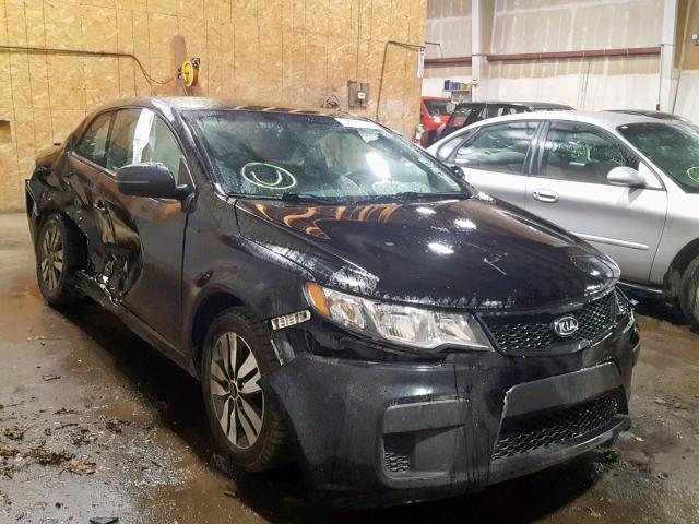 KNAFU6A24D5658668 - 2013 KIA FORTE EX BLACK photo 1