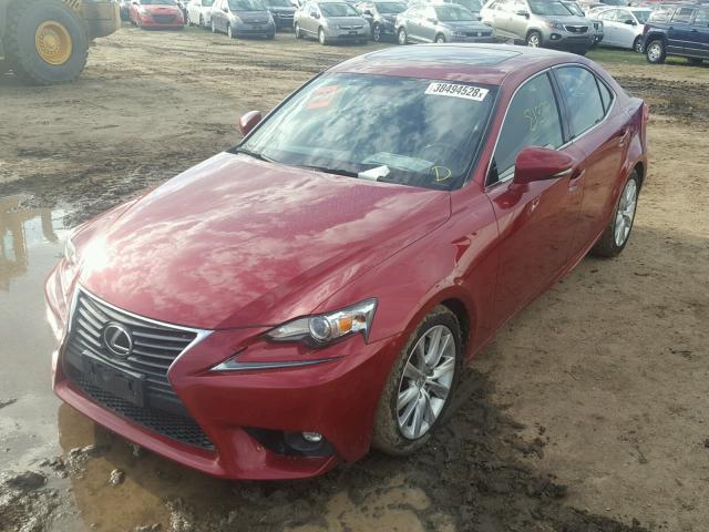 JTHBF1D29F5073175 - 2015 LEXUS IS 250 RED photo 2