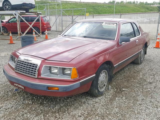 1FABP4631EH221053 - 1984 FORD THUNDERBIR RED photo 2